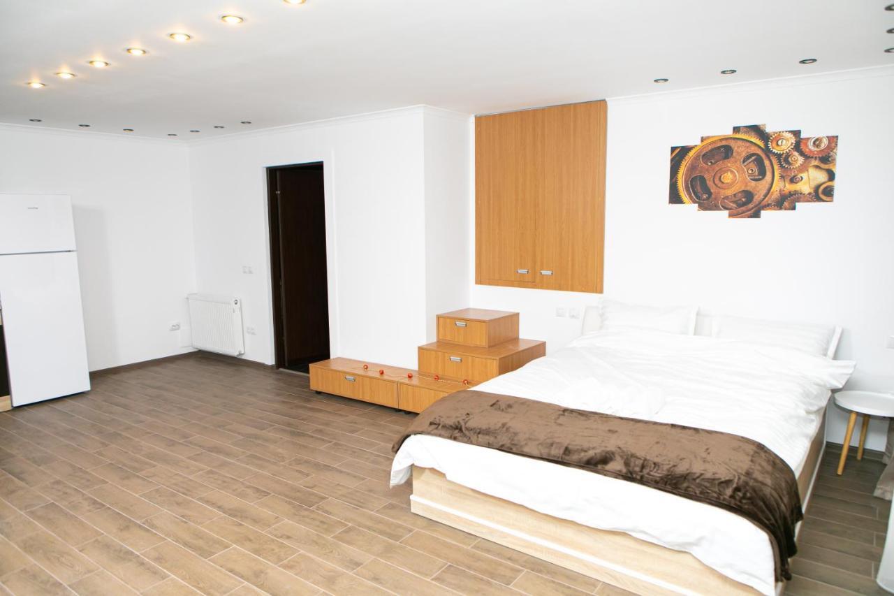 Vila Elisabeta Braşov Esterno foto
